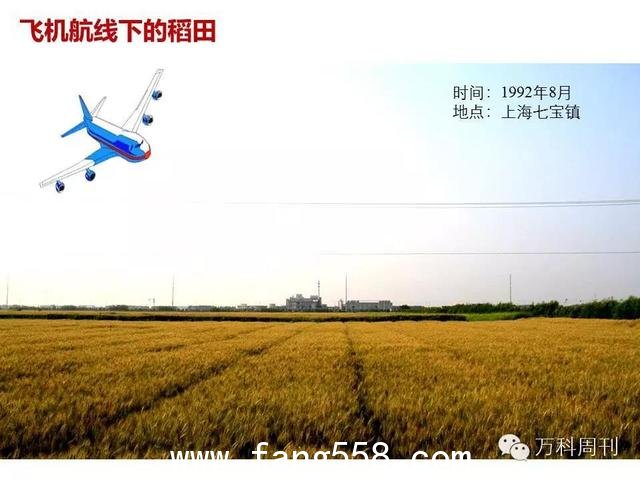 王石自述：我的道路与选择｜温故